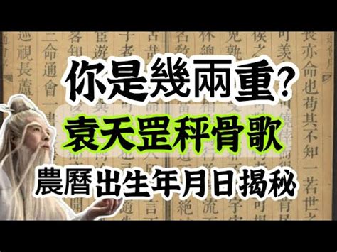 八字重量分析|八字重量計算器